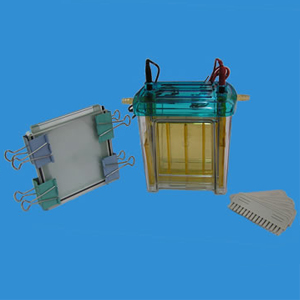 ��ֱ�Ӿ�� DYCZ-24EN