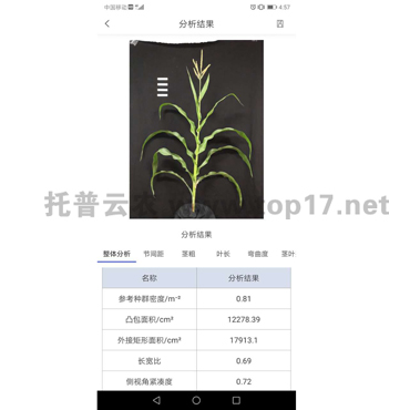 玉米株型分析系統軟件界面