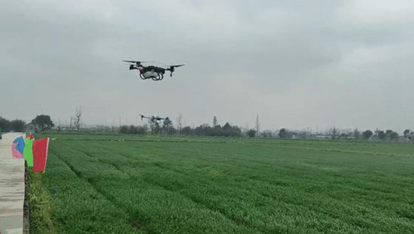 �o�˙C����